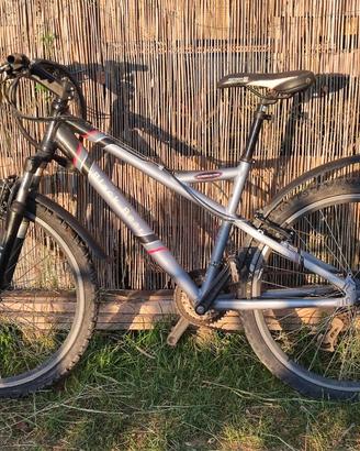 Bicicletta per ragazzo/a