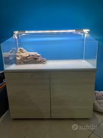 Acquario tartarughe