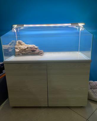 Acquario tartarughe