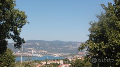Muggia Terreno edificabile PANORAMICO