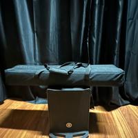 Coppia casse a colonna ant b-twig 8s