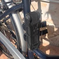 bici da donna 