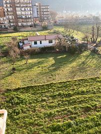 Struttura in bea 160