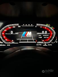 Cockpit Digitale BMW F20