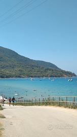 Disponibilità per ferragosto ad AGROPOLI