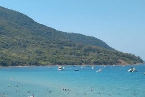 Disponibilità per ferragosto ad AGROPOLI