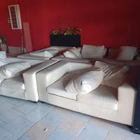 divani