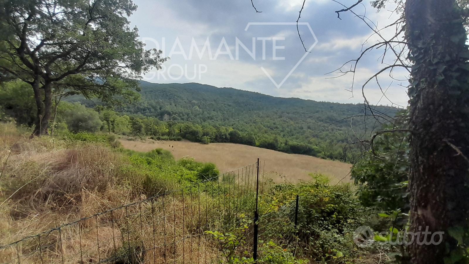 Azienda agricola con casale e 6 ettari di terreno - Vista 5