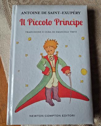 Il piccolo principe