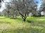 Immagine 24