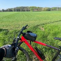 Cannondale Trail SL 3