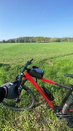 Cannondale Trail SL 3 XL