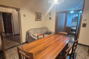 TRILO arredato contratto transitorio