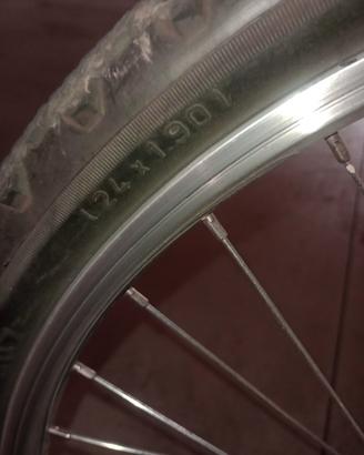 Bicicletta  MTB