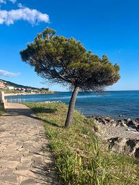 Casa Vacanza Acciaroli