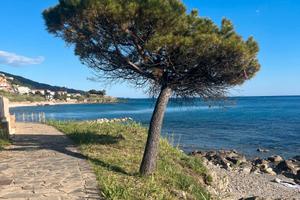 Casa Vacanza Acciaroli