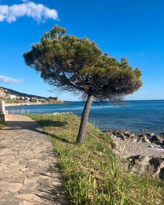 Casa Vacanza Acciaroli