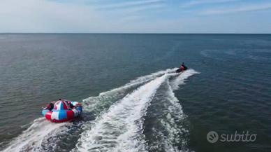 Cimbella disco acquatico trinante