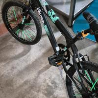 bicicletta