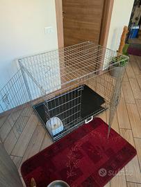 kennel 