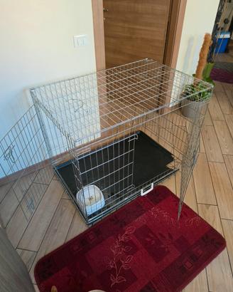 kennel 