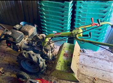 motocoltivatore grillo