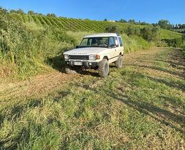 Discovery 300 tdi