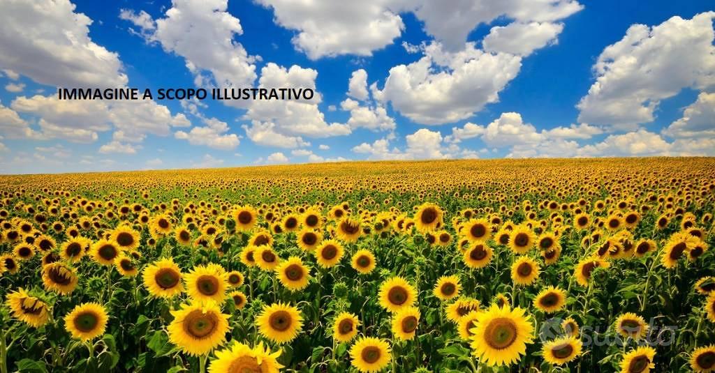 Terreno di 220000 m² a Marta - Vista 5