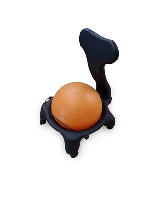 Sedia Ergonomica