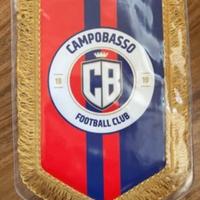 GAGLIARDETTI UFFICIALI