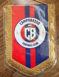 GAGLIARDETTI UFFICIALI