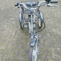 Triciclo pedalata assistita