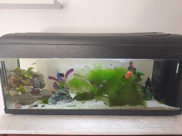acquario 120 L