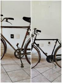 biciclette  CHIORDA e REGINA