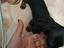Immagine 1