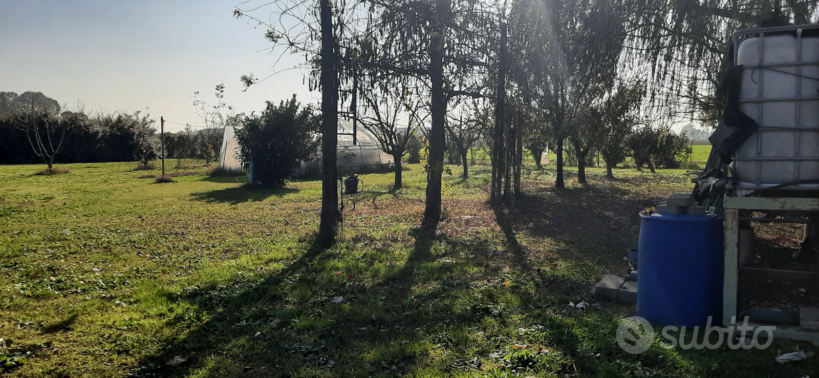 Terreno agricolo uso orto - Vista 4