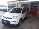 fiat-panda-1-0-firefly-s-s-hybrid-km-18000-monitor