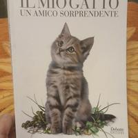 Il Mio Gatto Un Amico Sorprendente