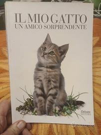 Il Mio Gatto Un Amico Sorprendente
