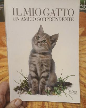 Il Mio Gatto Un Amico Sorprendente