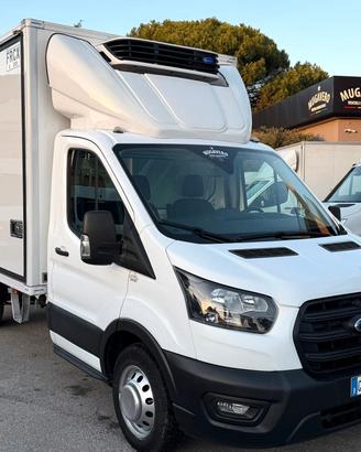 FORD TRANSIT 2.0 FRIGO CON PARATIA 2023
