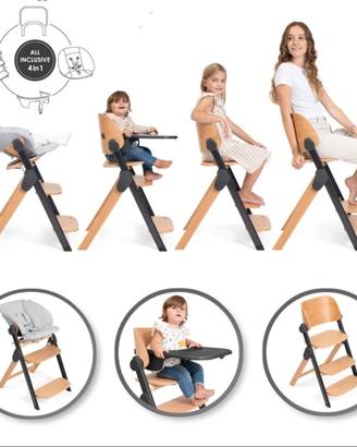 Seggiolone Evolutivo Chicco Meraviglia