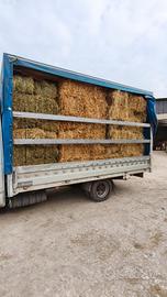 Paglia, fieno, medica 