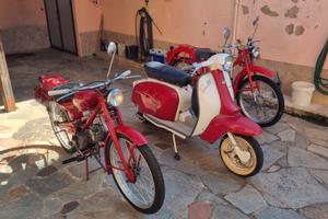 Motor guzzi