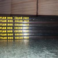Dylan Dog Colorfest Prime edizioni