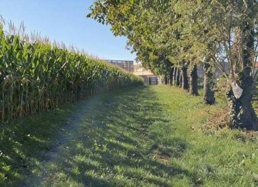 Immobile in asta di 23323 m² a Marostica