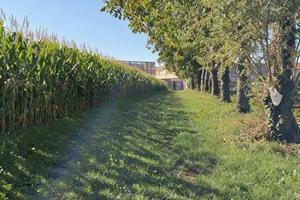 Immobile in asta di 23323 m² a Marostica