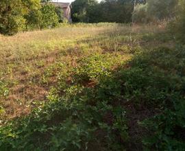 Terreno agricolo a Cave