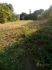 Terreno agricolo a Cave