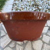 Vasi bonsai tokoname da coltivazione (2x)